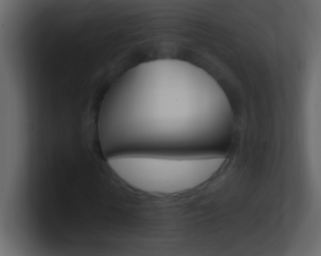 X0000101440818200807071025