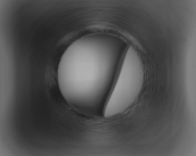 X0000101440822200807071025