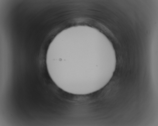 X0000101440824200807071025