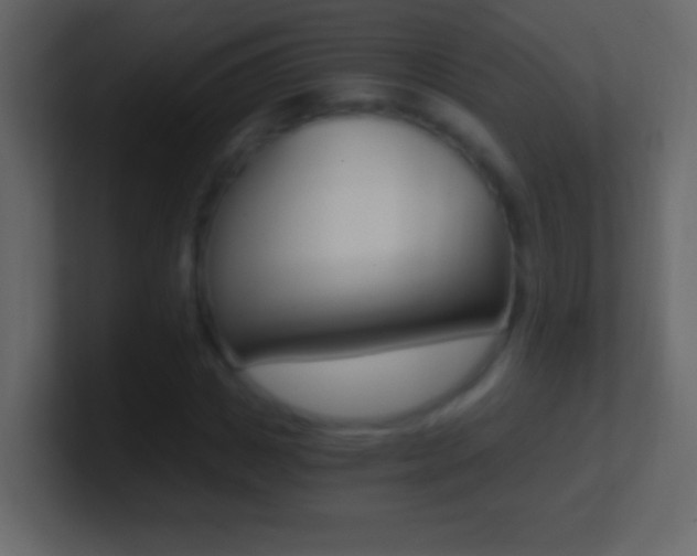 X0000101440825200807071025