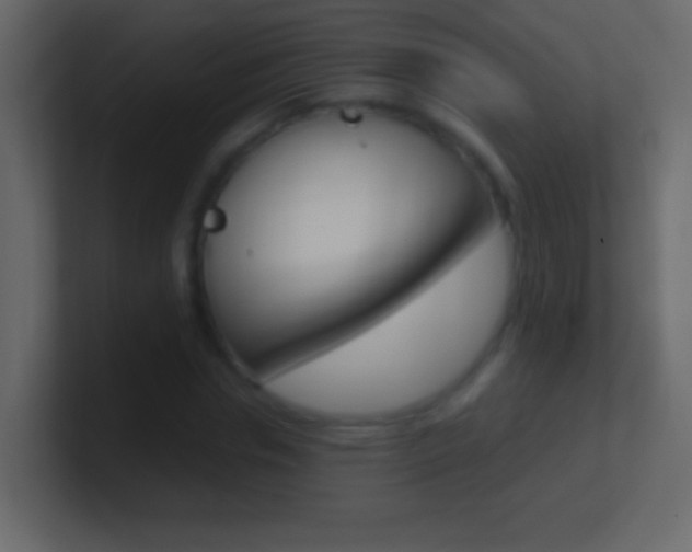 X0000101440826200807071025