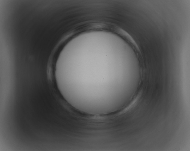 X0000101440827200807071025