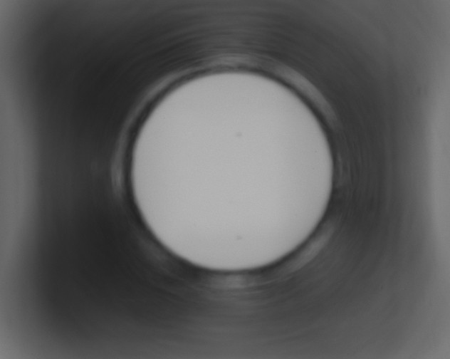 X0000101440828200807071025