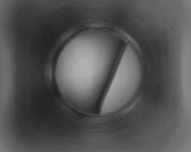 X0000101440829200807071025