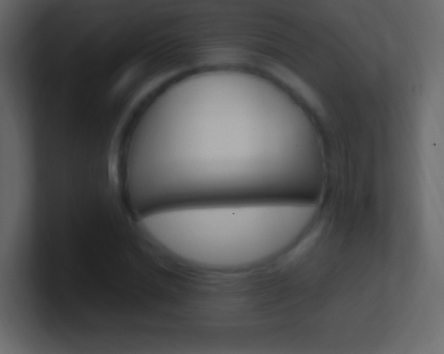 X0000101440830200807071025