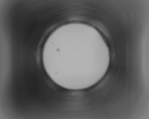 X0000101440832200807071025