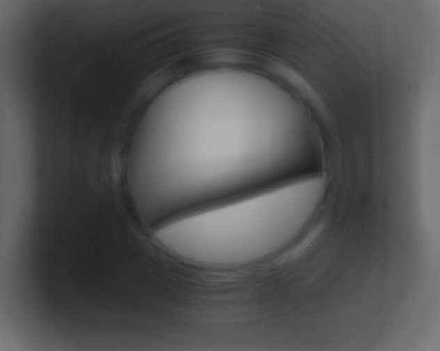 X0000101440833200807071025