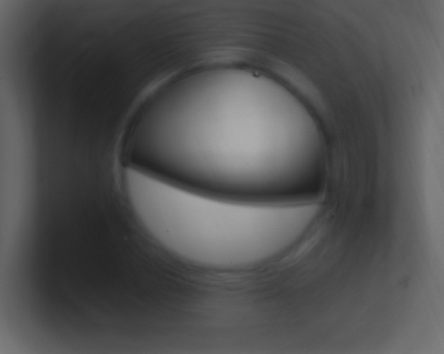 X0000101440834200807071025