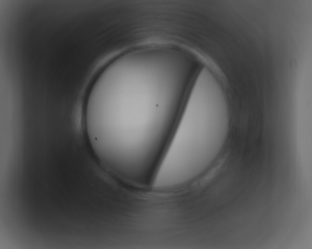X0000101440838200807071025