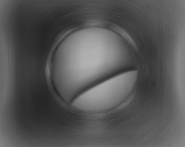 X0000101440844200807071025