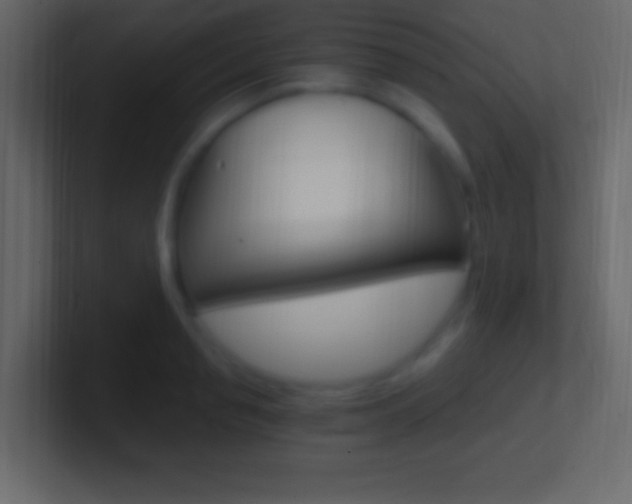 X0000101440845200807071025