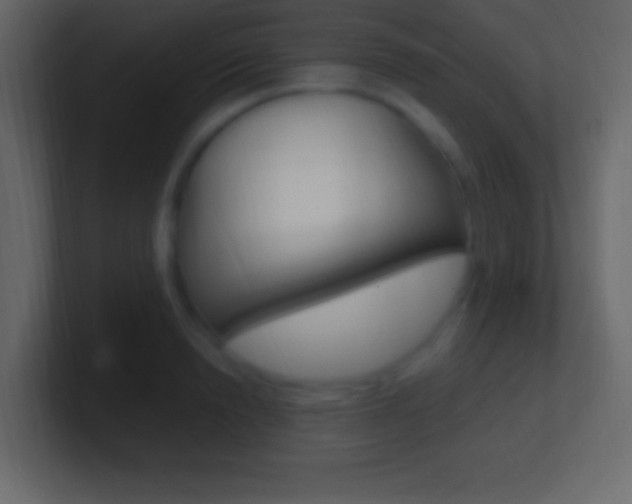 X0000101440846200807071025