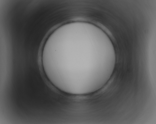 X0000101440848200807071025