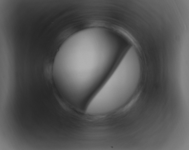 X0000101440849200807071025