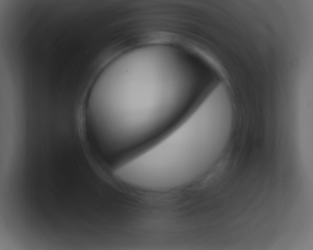 X0000101440850200807071025