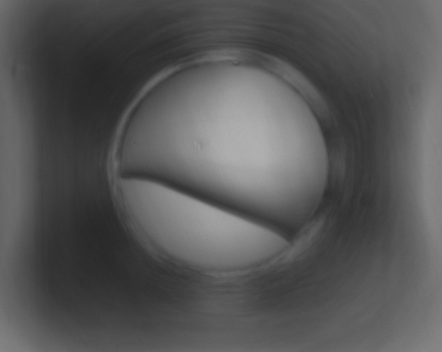 X0000101440852200807071025
