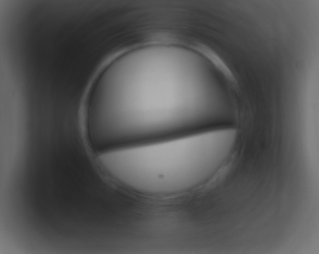 X0000101440854200807071025