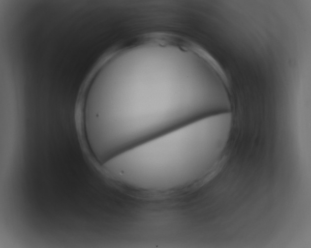 X0000101440859200807071025
