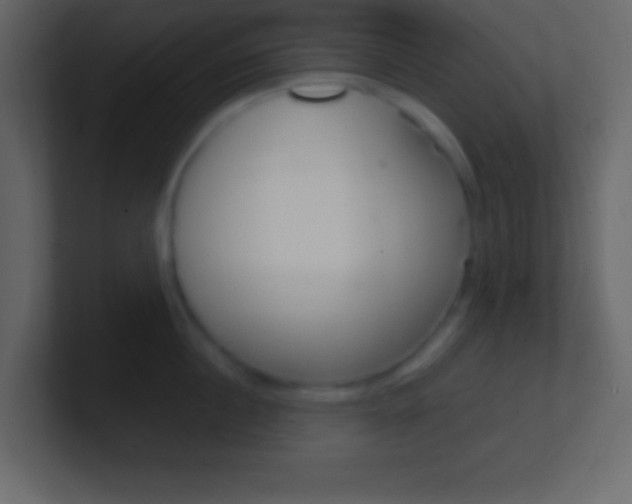 X0000101440860200807071025
