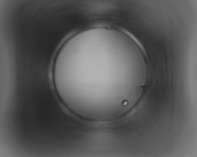 X0000101440861200807071025