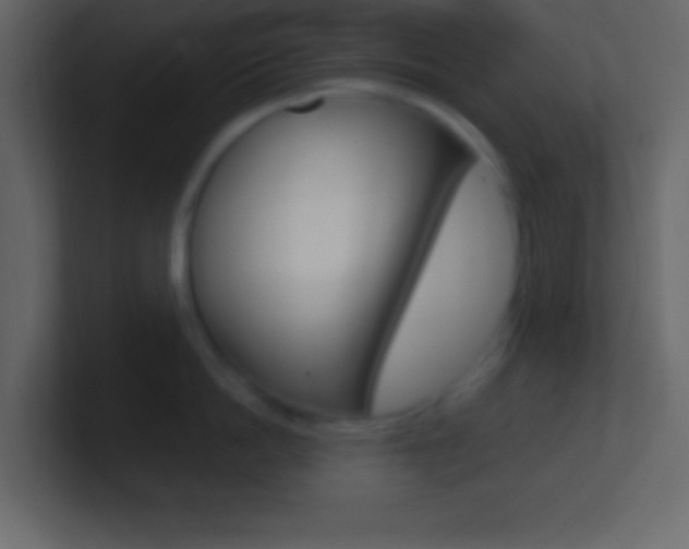 X0000101440862200807071025