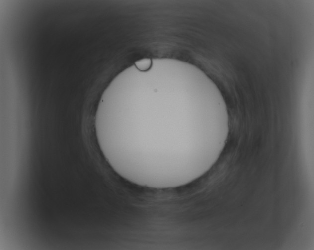 X0000101440865200807071025