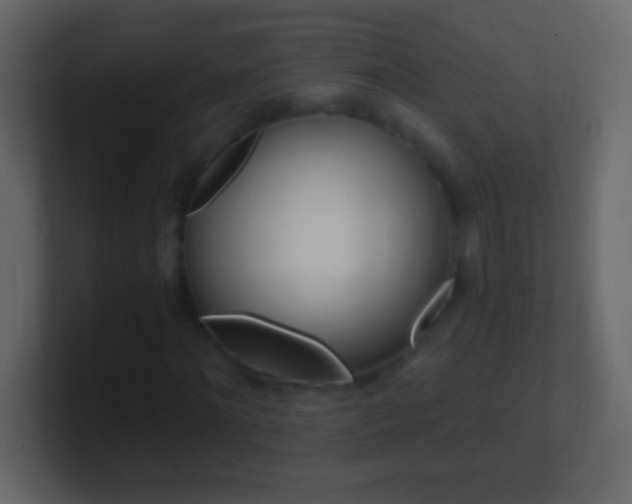 X0000101440868200807071025