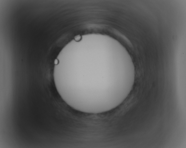 X0000101440869200807071025