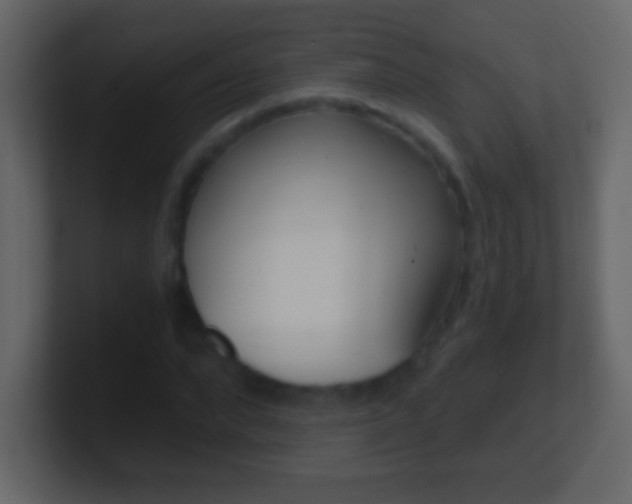 X0000101440872200807071025