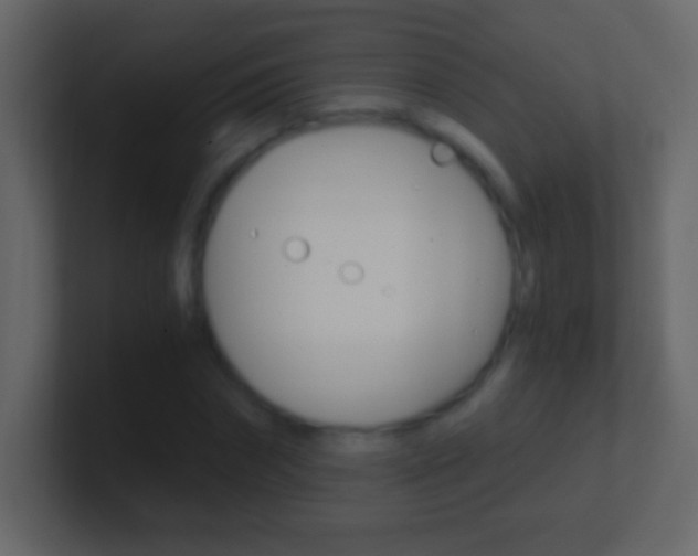 X0000101440874200807071024