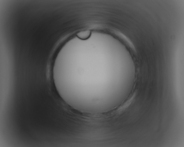 X0000101440875200807071024