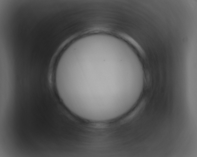 X0000101440878200807071024