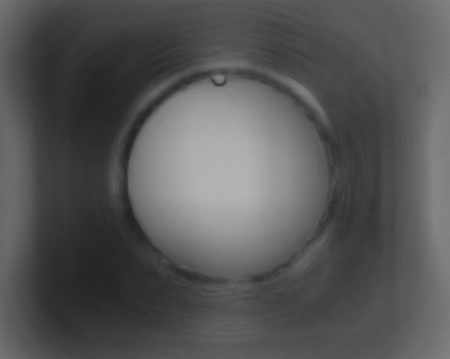 X0000101440879200807071024