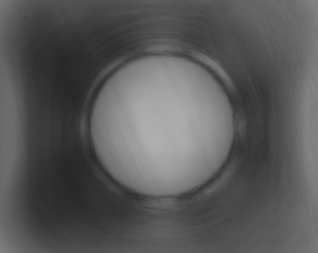 X0000101440882200807071024