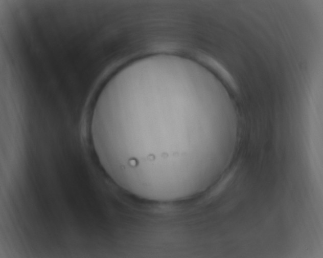X0000101440883200807071024