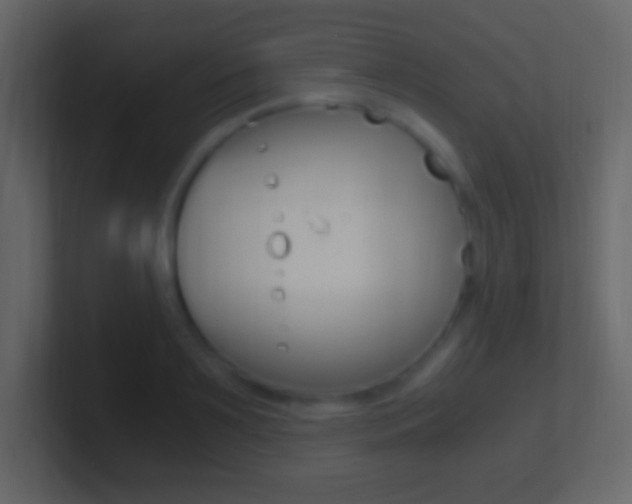 X0000101440891200807071024