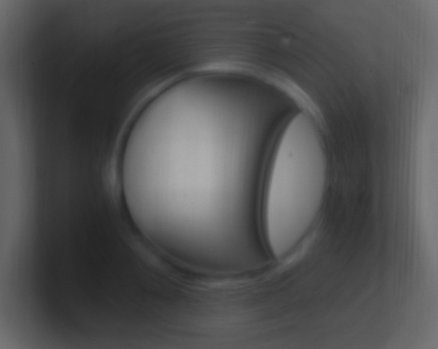 X0000101440892200807071024