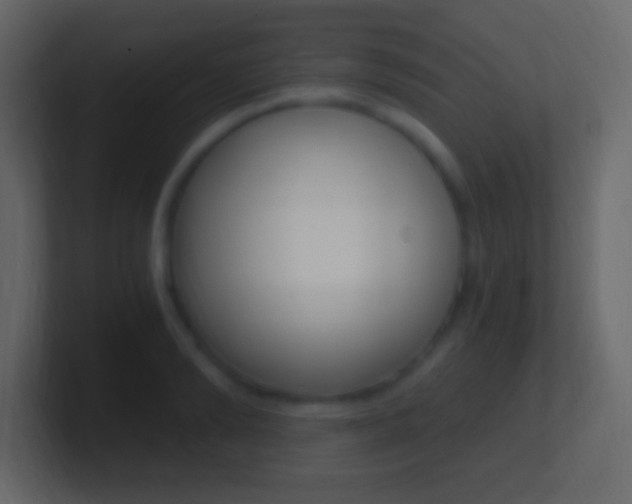 X0000101440894200807071024