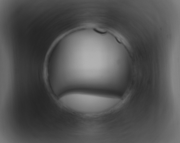 X0000101440904200807071024