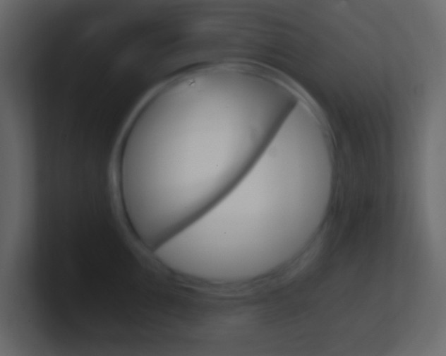 X0000101440907200807071024