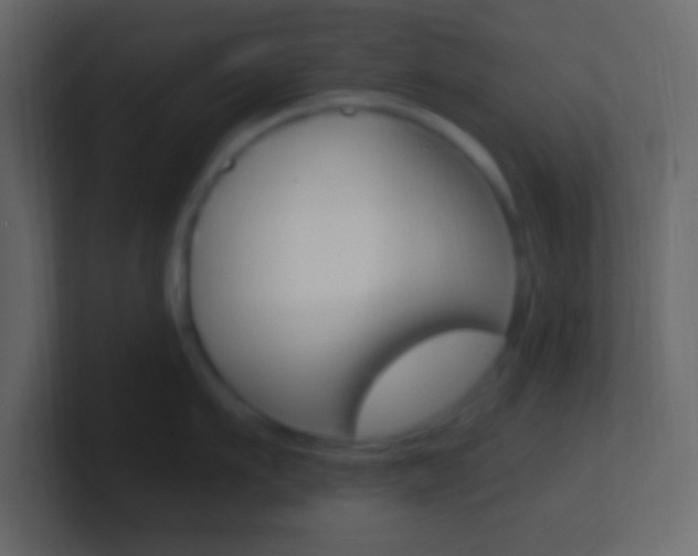 X0000101440911200807071024