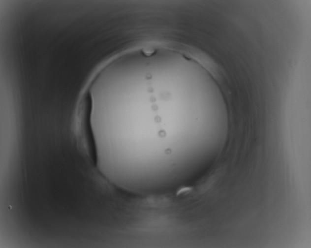 X0000101440912200807071024