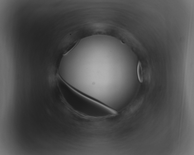 X0000101440916200807071023