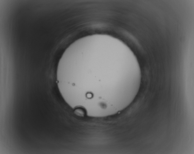 X0000101440918200807071023