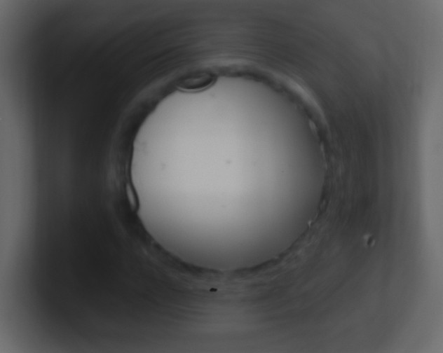 X0000101440920200807071023