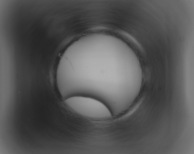 X0000101440921200807071023