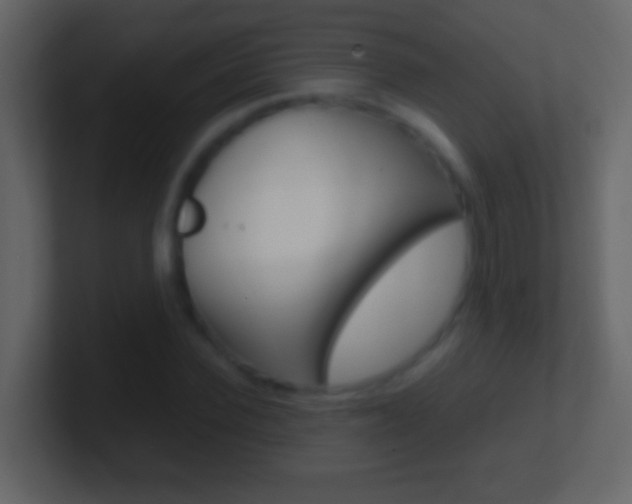 X0000101440924200807071023