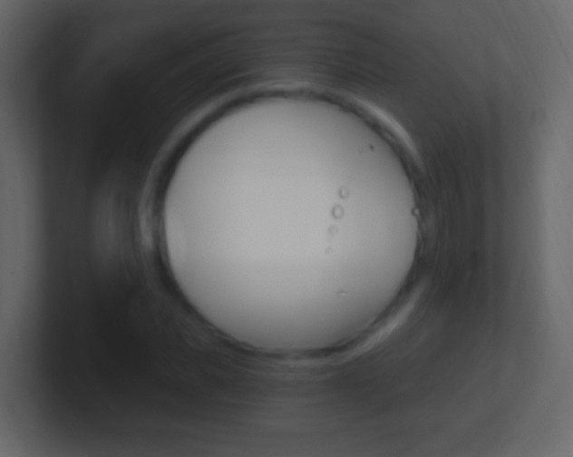 X0000101440925200807071023