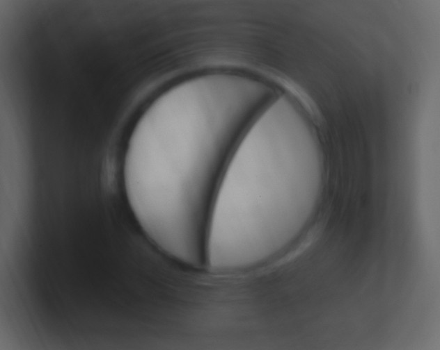 X0000101440926200807071023