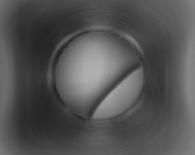 X0000101440928200807071024
